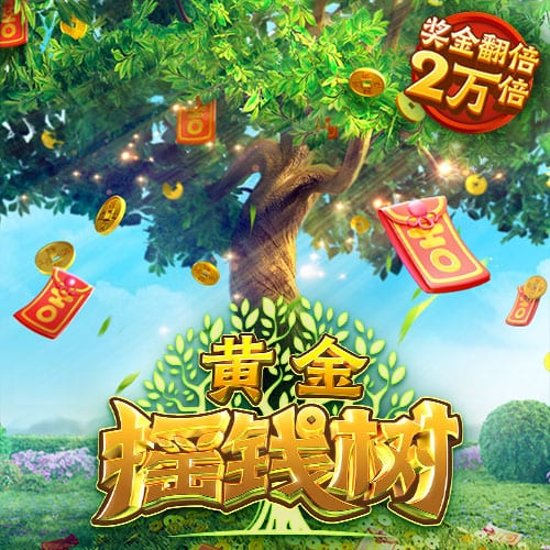 星空综合app下载桌面版客户端