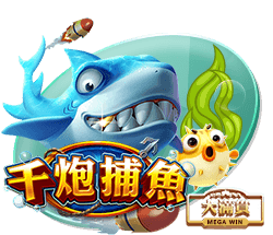 星空足球体育app